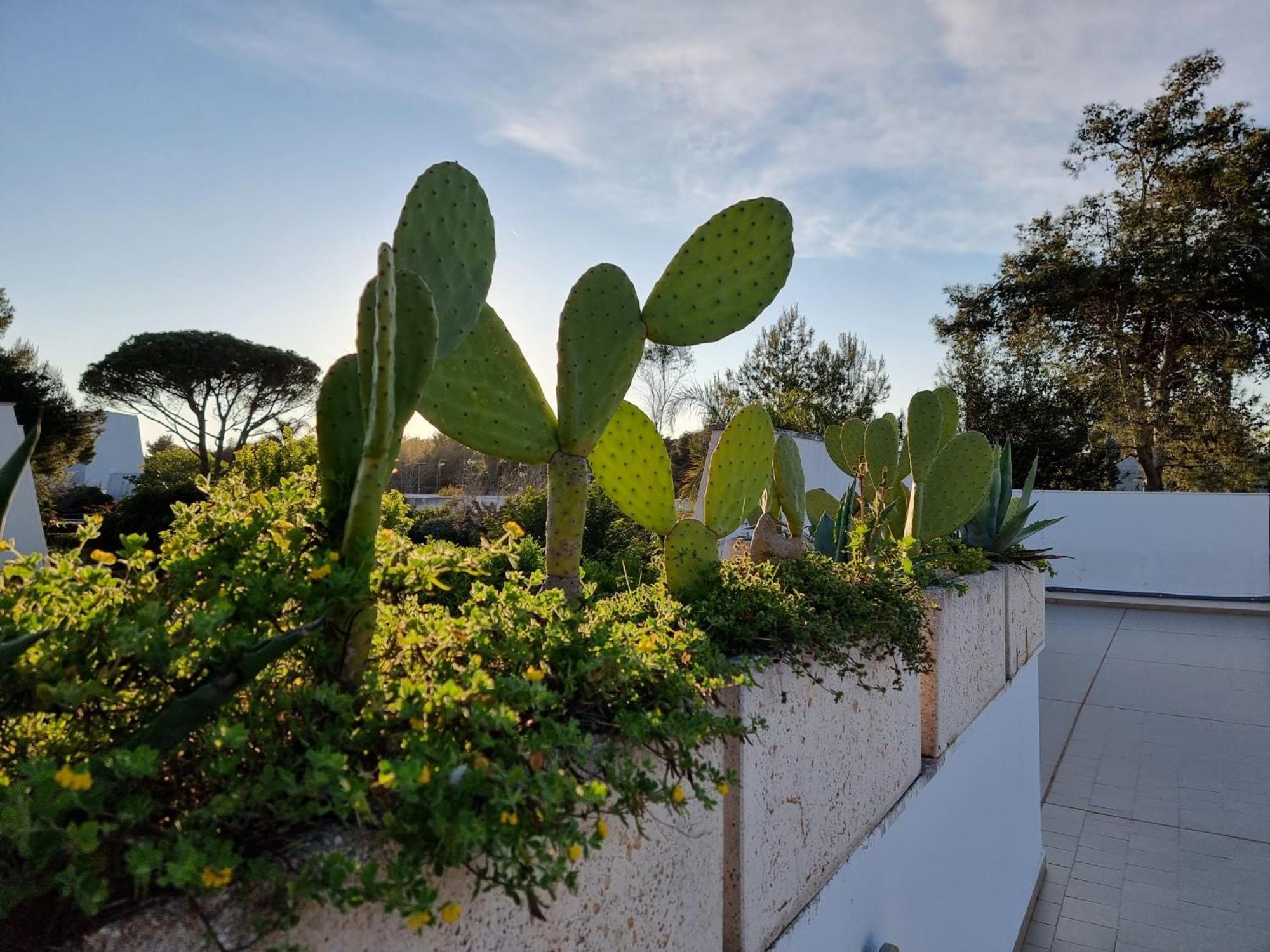 73059 Villa Ugento Exteriör bild